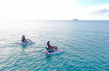 GoBoat Rentals at Runaway Beach and Jolly Beach