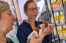 Trastevere & Campo de' Fiori Street Food Tour, Eat Like a Local