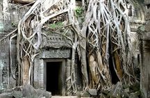 Angkor Wat Full-Day Private Tour – Bayon & Ta Prohm Highlights