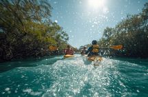 4 Hours Kayaking Adventure in Qatar Purple Island Mangroves