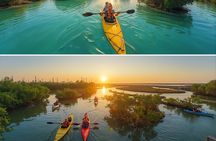 4 Hours Kayaking Adventure in Qatar Purple Island Mangroves