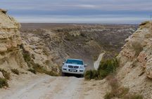 Photo Tour to Aral Sea from Khiva or Nukus