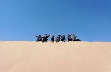 Over day Tour to Al Fayoum oasis from Cairo