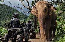 Chiang Mai Sticky Waterfall Tour ATV and Scenic Café