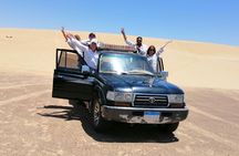 Over day Tour to Al Fayoum oasis from Cairo
