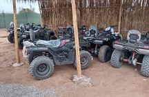 Agadir Quad Desert with Sandboarding, Berber Tea & Hotel Pickup