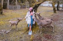 Nara Unlocked With a Private Car Tour from Kyoto by Guide