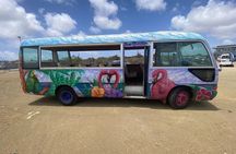 Bonaire 2 hour Island Tour & 2 hour Beach Stay