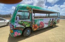 Bonaire 2 hour Island Tour & 2 hour Beach Stay