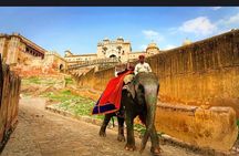 Jaipur Full Day Tour By Car And Guide With Hotel Pickup 