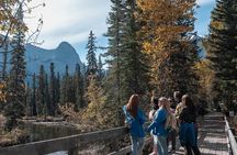 The Best Food Walk Tour in Canmore: Taste the Rockies in 3-Hours 