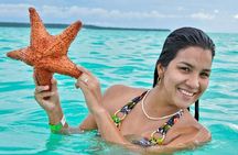 Saona Island from Punta Cana with Transportation and Lunch Included