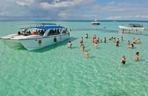 Saona Island from Punta Cana with Transportation and Lunch Included