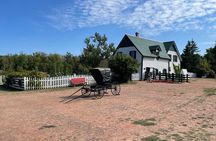 The North Shore and Green Gables Tour