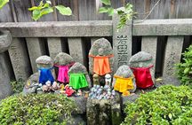 Silent Beauty of Kyoto Zen Walk and Tea Experience