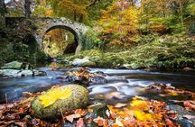 From Belfast: Private Mourne Mountains Scenic Day Tour