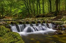 From Belfast: Private Mourne Mountains Scenic Day Tour