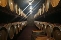 Hawkes Bay Wine Tour: Explore NZ's Great Wine Capital