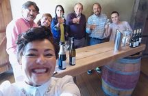 Hawkes Bay Wine Tour: Explore NZ's Great Wine Capital