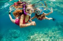 Blue Hole & Canyon By Bus with Camel & Lunch - Sharm El Sheikh 