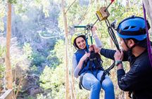 Cape Town Zipline Adventure (Hotel Pickup included)