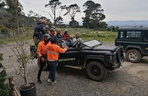 Cape Town Zipline Adventure (Hotel Pickup included)