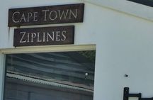Cape Town Zipline Adventure (Hotel Pickup included)