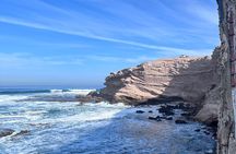 Agadir Mini Sahara Tour Discover Berber Culture and Desert Dunes