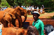 Nairobi City Tour and Giraffe Center Tour