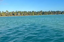 Saône Catamaran Island - speedboat, open bar and lunch