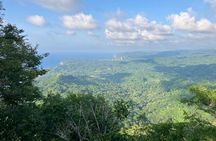 Hike to Monkey Mountain (Transportation & fresh coconut Included)