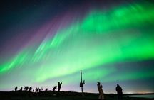 Northern Lights Hunt, Arctic Animals & a Touch of Madness