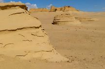 Day Tour to Fayoum Oasis and Wadi El Rayan