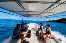Puerto Plata Shore Excursion, Snorkeling tour & Sosua Beach Day