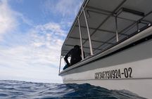Puerto Plata Shore Excursion, Snorkeling tour & Sosua Beach Day