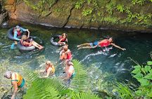 Roseau Valley to Champagne Beach Tour Experience