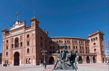 Guided tour of Madrid's 4 most popular neighborhoods.