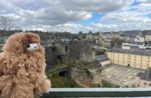 Luxembourg Private Guided Day Tour from Brussels