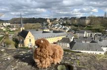 Luxembourg Private Guided Day Tour from Brussels