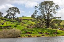 Premium Hobbiton Small Group Day Tour from Auckland