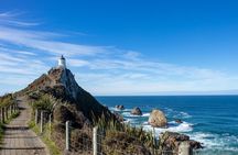 Te Anau to Dunedin Via The Catlins Small-Group Tour (One-Way) 