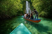 Whale Watching, Cayo Levantado & Limon Waterfall from Punta Cana