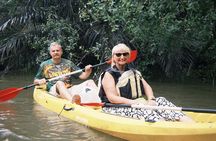 Mekong River Life Experience: Bike, Kayak & Cook