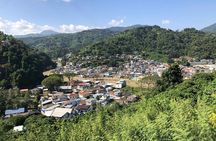 Mae Sai-Fish, Monkey Cave-Golden Triangle-Old City - Thai Border