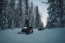 Forest Snowmobile Tour in Alaska