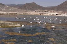 Salalah: Fazayah Beach, Blowholes & Coastal Cliffs - Private Tour