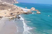 Salalah: Fazayah Beach, Blowholes & Coastal Cliffs - Private Tour