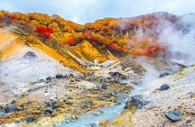 Sapporo: Noboribetsu Hell Valley, Lake Toya & Bear Farm Tour