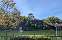 Private Walking Tour of Osaka with Local Experts