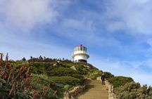 Cape Peninsula Private Tour, Table Mountain, Penguins & More.